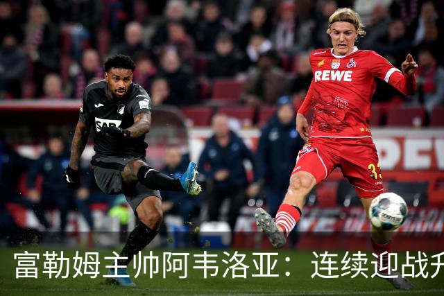 富勒姆主帅阿韦洛亚：连续迎战升班马