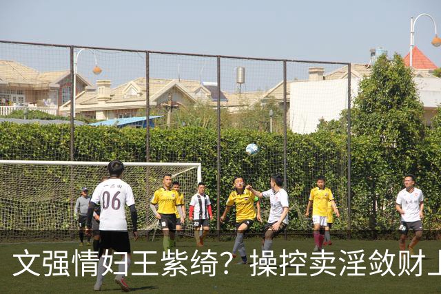 文强情妇王紫绮？操控卖淫敛财上亿，横行15年仅靠万九保护费