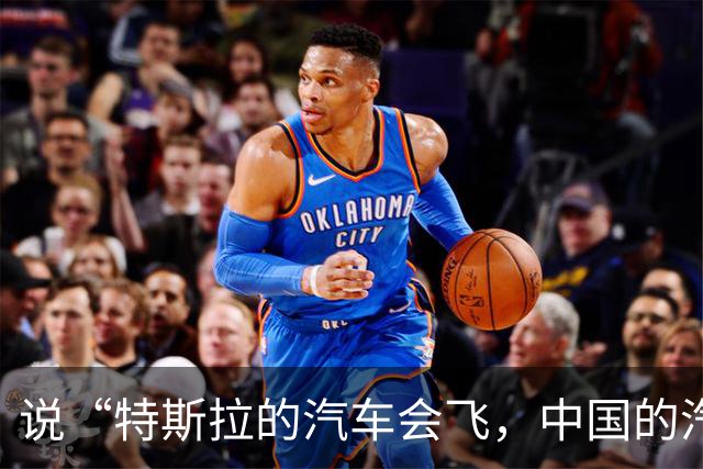 说“特斯拉的汽车会飞，中国的汽车刹车踏板会断”的人，不是蠢，就是坏