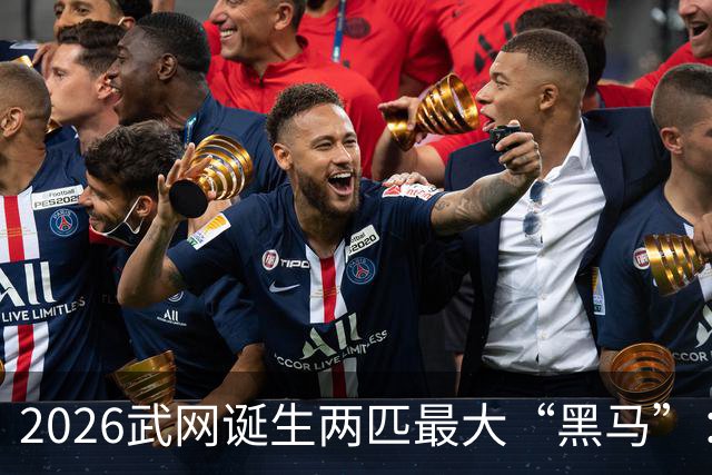 2026武网诞生两匹最大“黑马”：世界排名170的卡塔尔杀进决赛，波兰“月亮姐”击败发小斯瓦泰克晋级，有望夺冠！